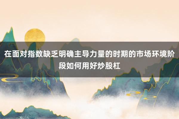 在面对指数缺乏明确主导力量的时期的市场环境阶段如何用好炒股杠